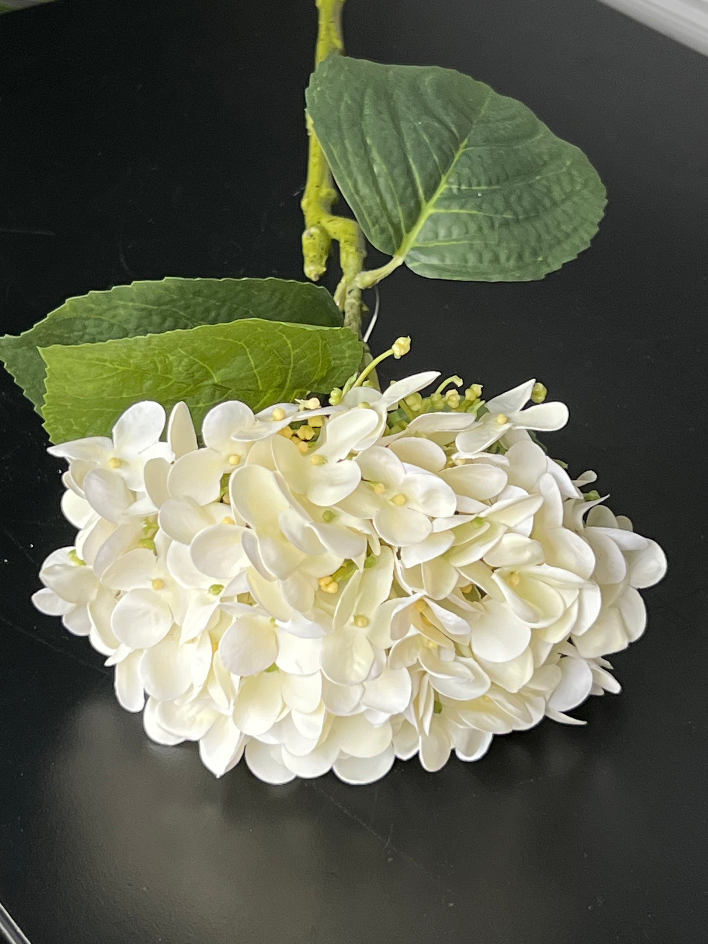 Islak Ortanca Kırık Beyaz Dal 50 cm