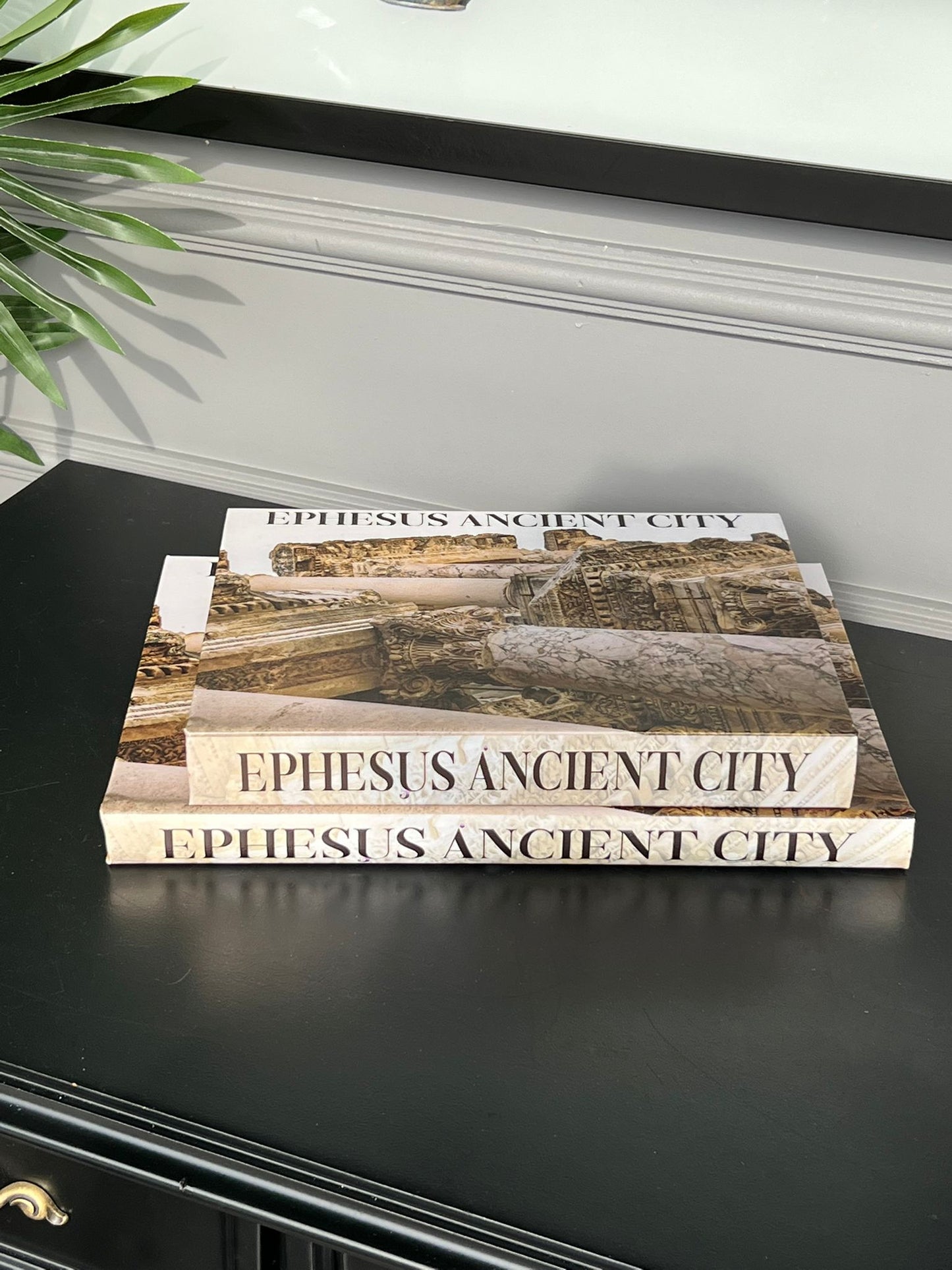 Kitap Kutu Ephesus Ancıent City 2li