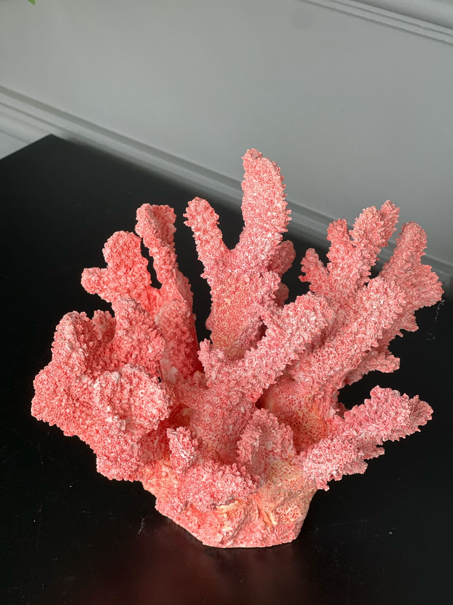 Pembe Mercan 17*17cm