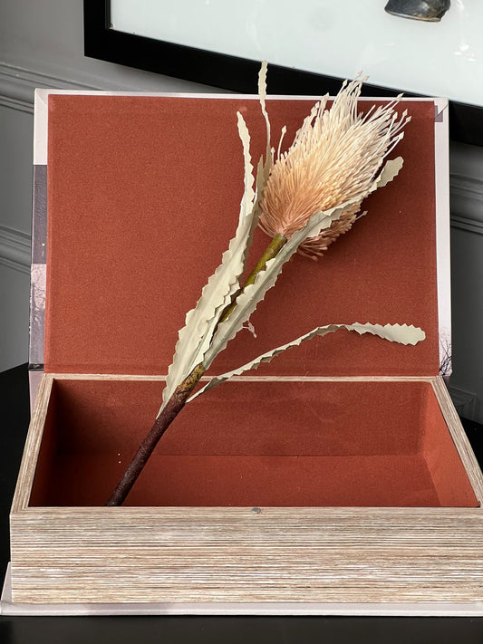 Banksai Krem  Renk 48cm