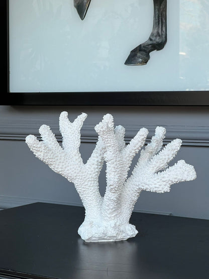 Beyaz Mercan 18*20cm