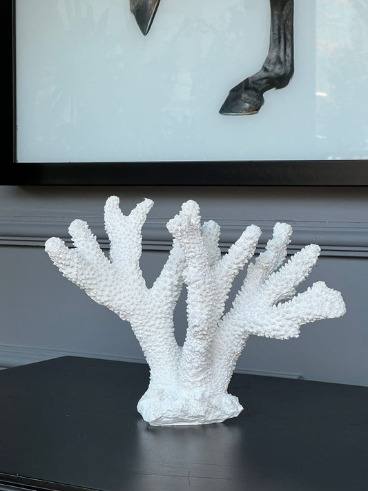 Beyaz Mercan 18*20cm