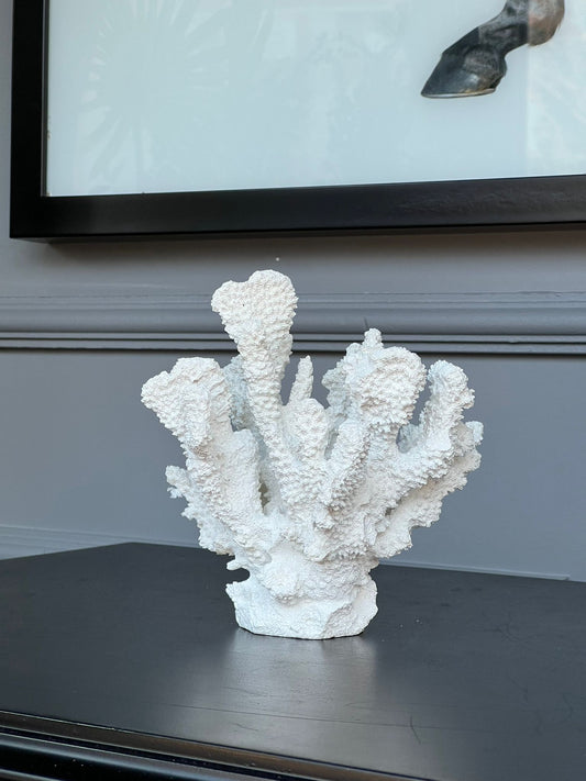 Beyaz Mercan 17*17cm
