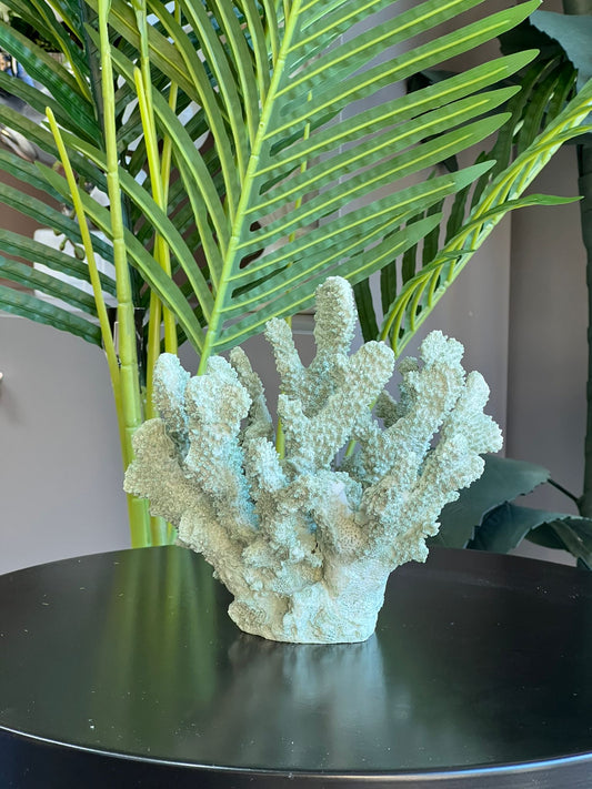 Yeşil Mercan 17*17cm