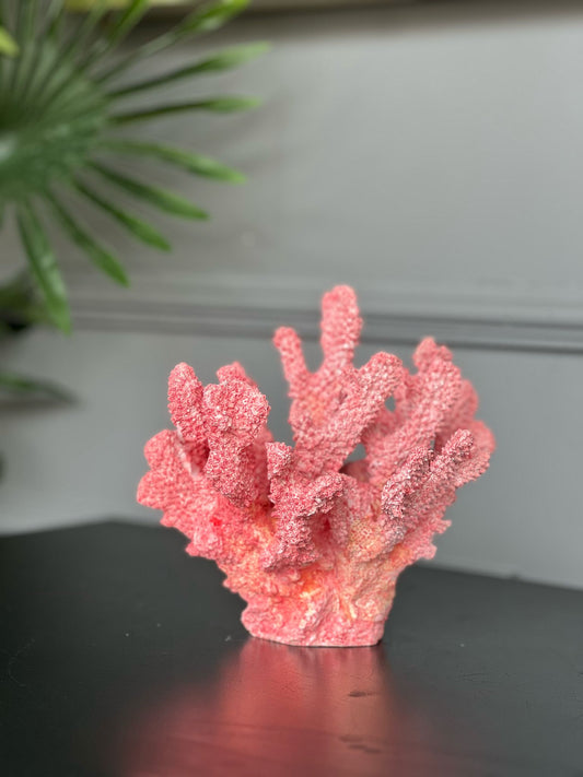 Pembe Mercan 17*17cm
